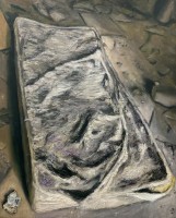 as, 100 x 80 cm